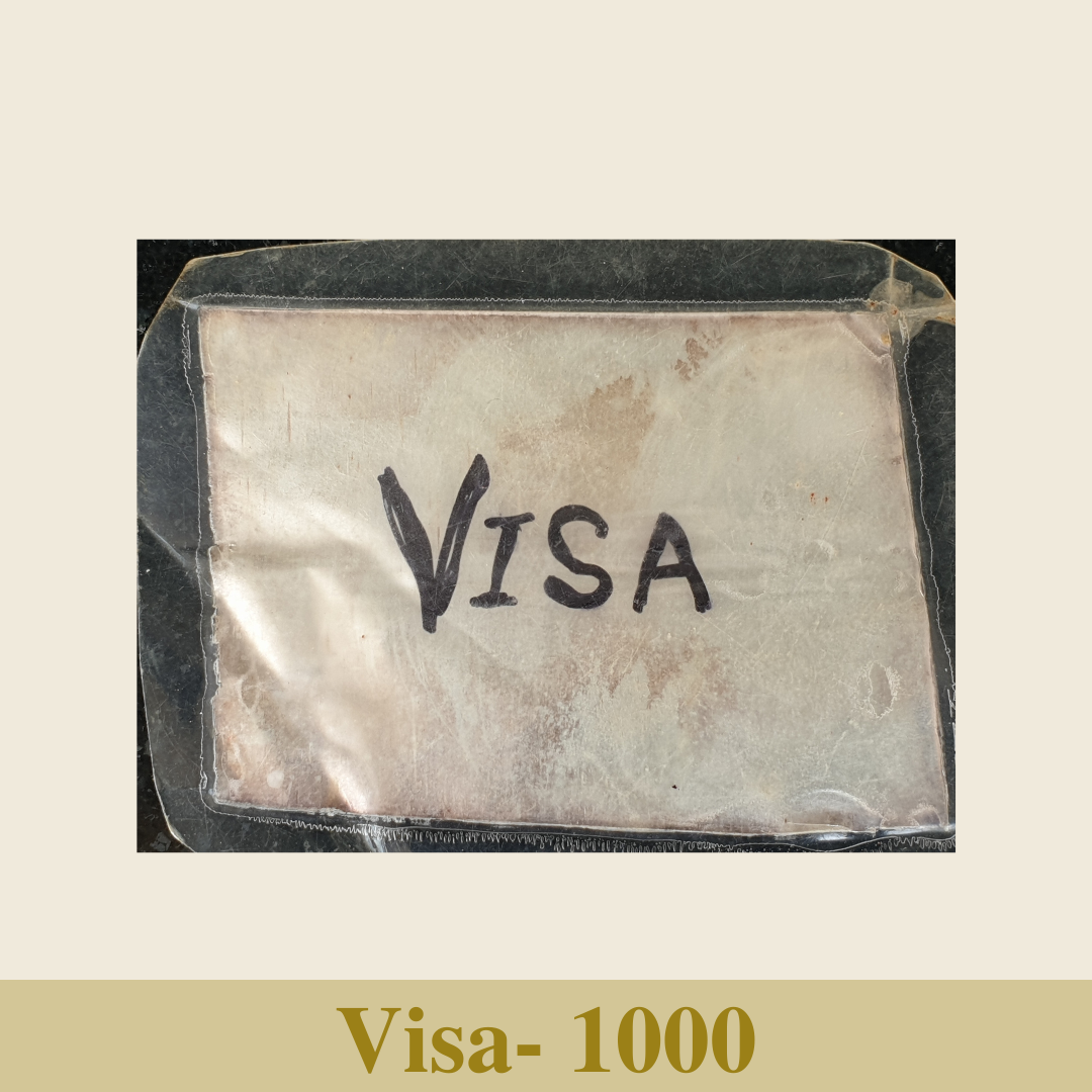 Visa